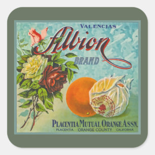 Albion Orange Fruit Låda-etikett Fyrkantigt Klistermärke