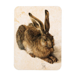 Albrecht Durer barnHare Magnet