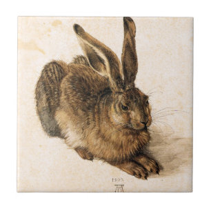 Albrecht Durer belägger med tegel unga Hare Kakelplatta