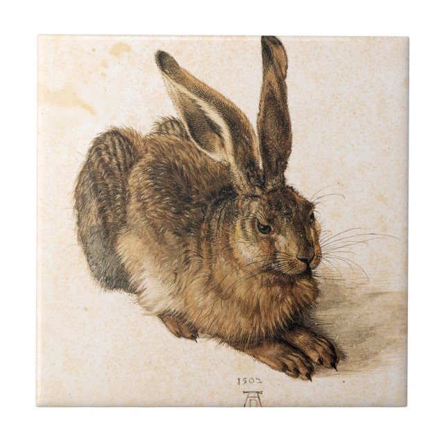 Albrecht Durer belägger med tegel unga Hare Kakelplatta (Framsidan)