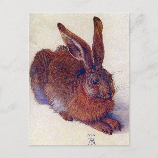 Albrecht Durer - Fält Hare GC Vykort (Framsida)