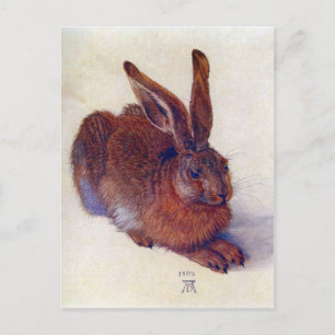 Albrecht Durer - Fält hare Vykort