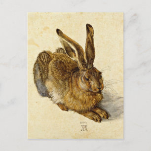 Albrecht Durer - Hare (1502) Vykort