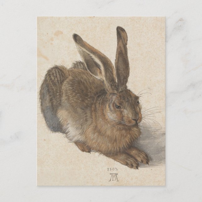 Albrecht Dürer - Hare Vykort (Framsida)