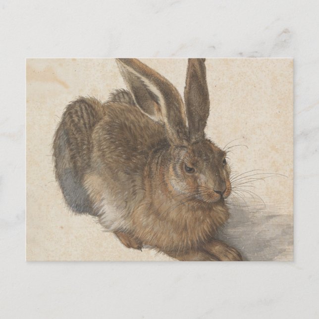Albrecht Dürer - Haren Vykort (Framsida)