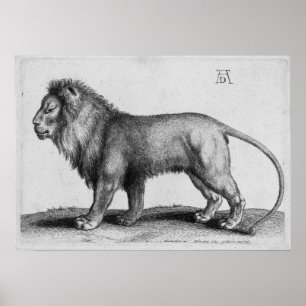Albrecht Durer inrista som är lejont Poster