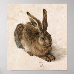 Albrecht Dürer - Junger Hase (den unga haren), Poster