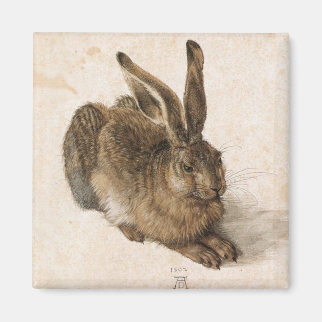 Albrecht Dürer - Junger Hase (Young Hare), 1502 Magnet (Framsidan)