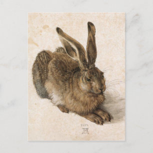 Albrecht Dürer - Junger Hase (Young Hare), 1502 Vykort