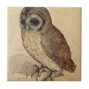 Albrecht Durer - Little Uggla Kakelplatta