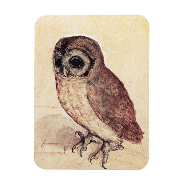 Albrecht Durer, Little Uggla Magnet (Vertikal)