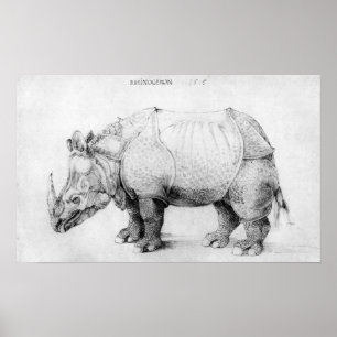 Albrecht Durer noshörningaffisch Poster