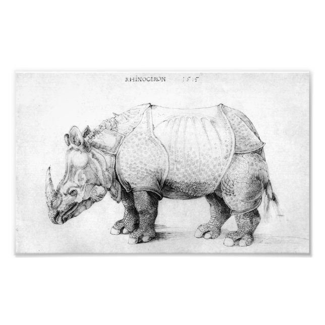Albrecht Durer Rhinoceros Fototryck (Framsidan)