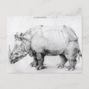 Albrecht Durer Rhinoceros Postcard Vykort