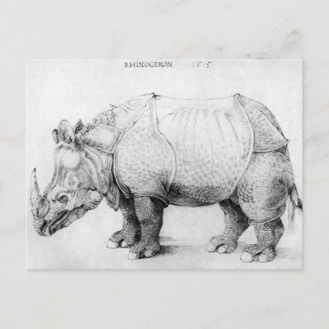 Albrecht Durer Rhinoceros Postcard Vykort (Framsida)