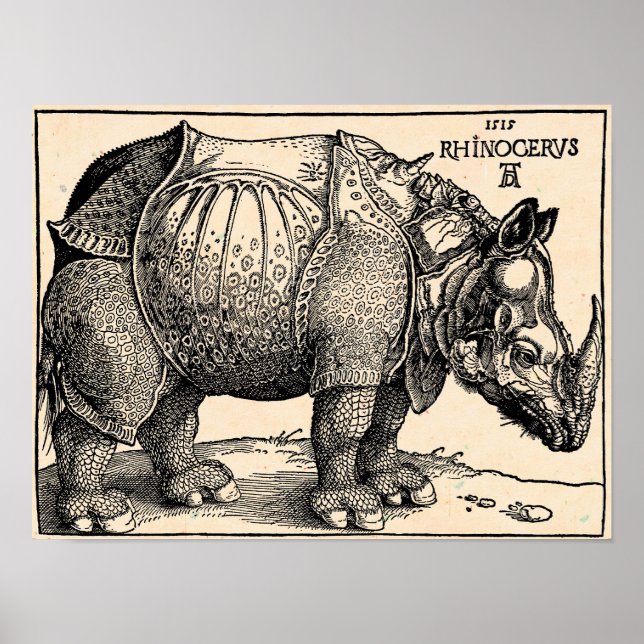Albrecht Dürer Rhinoceros Poster (Framsidan)