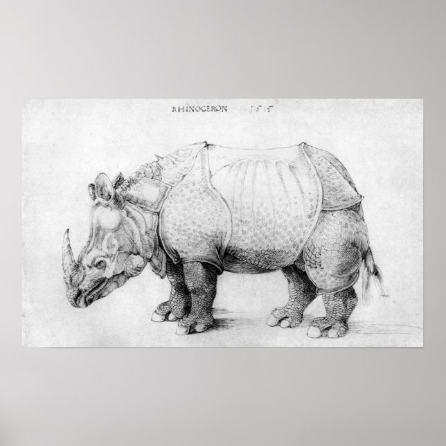 Albrecht Durer Rhinoceros Poster (Framsidan)