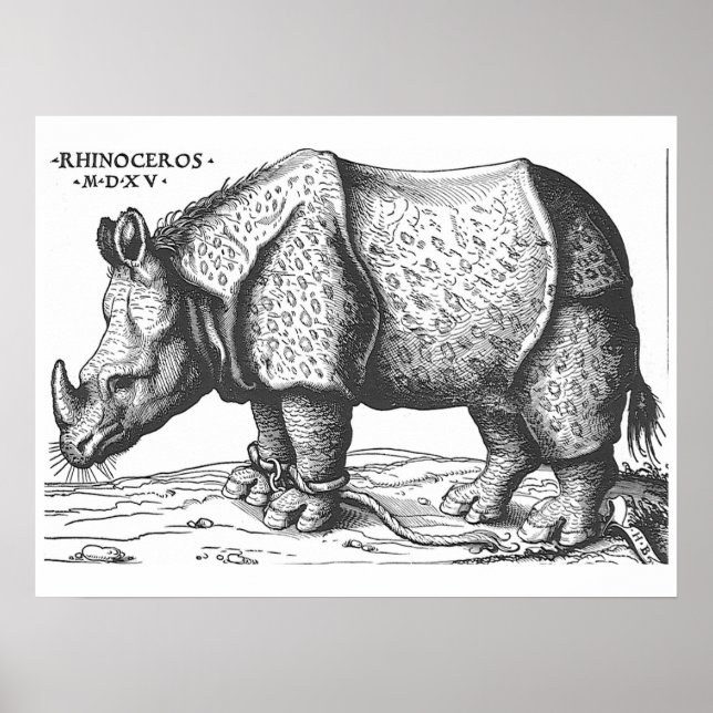Albrecht Durer - Rhinoceros Poster (Framsidan)