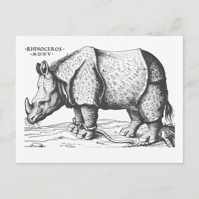 Albrecht Durer - Rhinoceros Vykort (Framsida)
