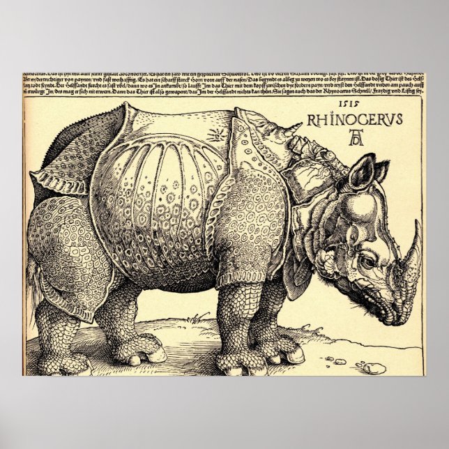 Albrecht Durer Sketching Poster (Framsidan)