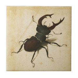 Albrecht Durer Stag Beetle Renaissance Art Tecknin Kakelplatta