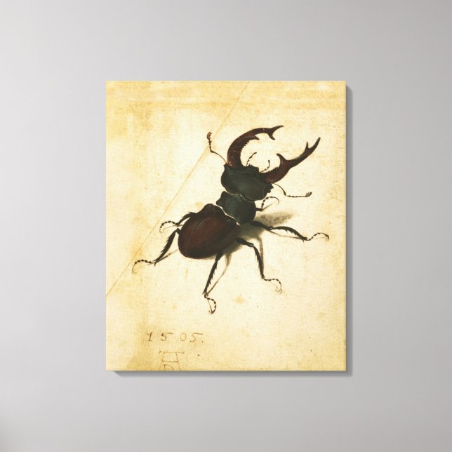 Albrecht Durer Stag Beetle Renaissance Vintage Art Canvastryck (Framsida)
