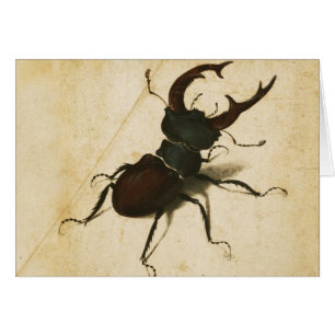 Albrecht Durer Stag Beetle Renaissance Vintage Art Hälsningskort