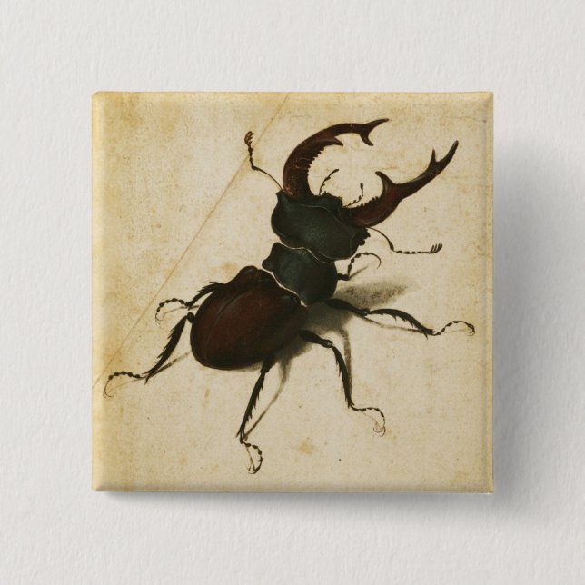 Albrecht Durer Stag Beetle Renaissance Vintage Art Knapp (Framsida)
