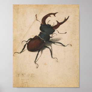Albrecht Durer Stag Beetle Renaissance Vintage Art Poster
