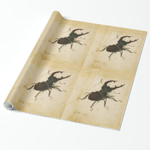 Albrecht Durer Stag Beetle Renaissance Vintage Art Presentpapper