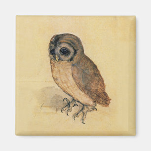 Albrecht Durer The Little Uggla Magnet