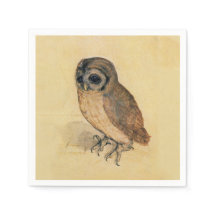 Albrecht Durer The Little Uggla