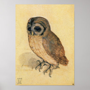 Albrecht Durer The Little Uggla Poster