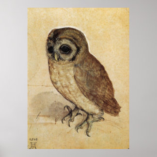 Albrecht Durer The Little Uggla Poster