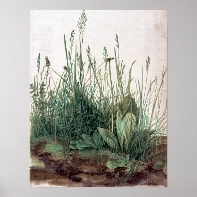 Albrecht Dürer, Turfs stora Biet Poster (Framsidan)