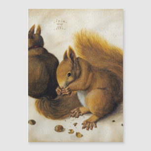 Albrecht Durer - Två ekorrar
