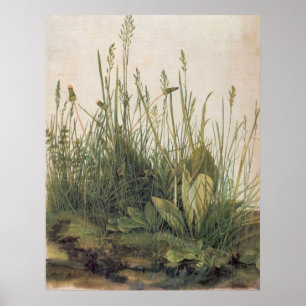 Albrecht Durer Underbarare Biet Turf Poster