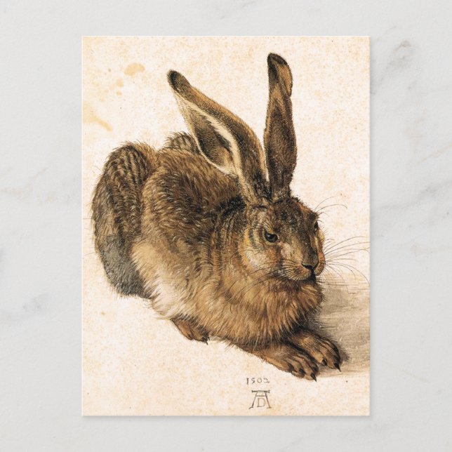 Albrecht Durer ung Harevykort Vykort (Framsida)