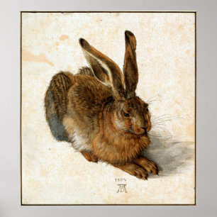 ALBRECHT DÜRER - Unga hare 1502 Poster