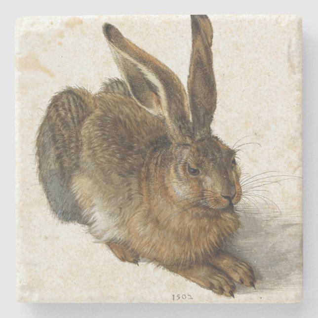 ALBRECHT DÜRER - Unga hare 1502 Underlägg Sten (Framsidan)