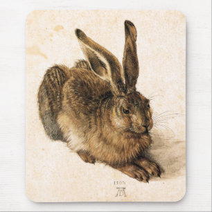 Albrecht Durer vadderar den unga Haremusen Musmatta