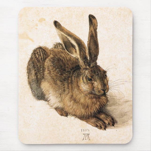 Albrecht Durer vadderar den unga Haremusen Musmatta (Framsidan)