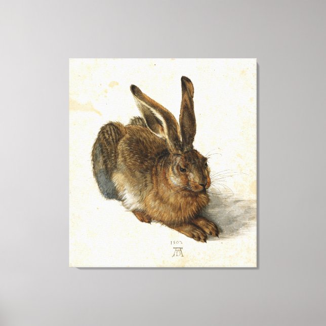 ALBRECHT DÜRER - Young hare 1502 Canvastryck (Framsida)