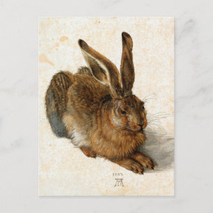 ALBRECHT DÜRER - Young hare 1502 Vykort