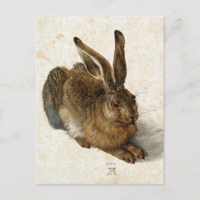 ALBRECHT DÜRER - Young hare 1502 Vykort (Framsida)