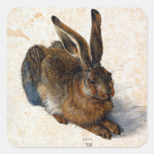 Albrecht Dürer Young Hare Fyrkantigt Klistermärke