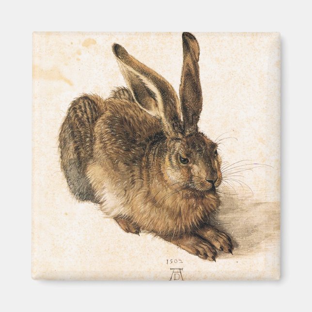 Albrecht Durer Young Hare Magnet (Framsidan)