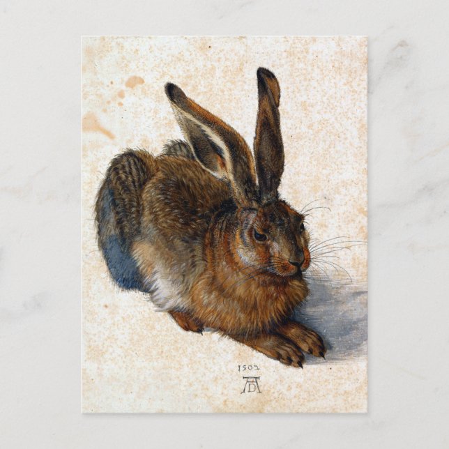 Albrecht Dürer Young Hare Vykort (Framsida)