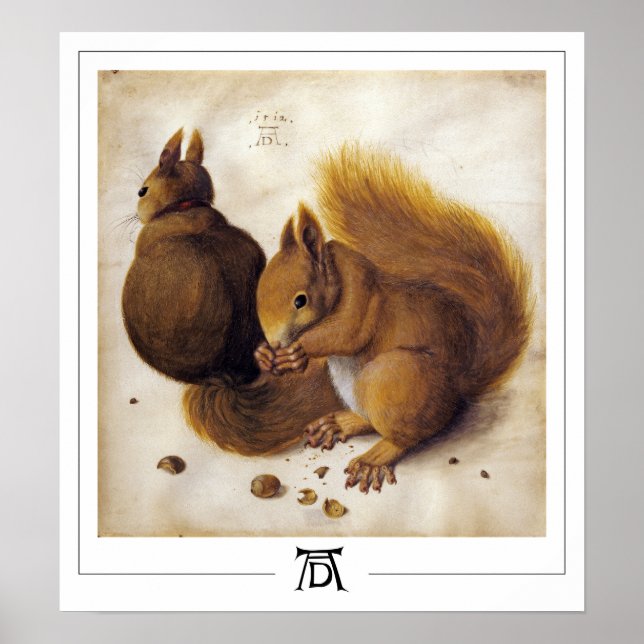 Albrecht Dürer Zedign Art Poster #56 (Framsidan)