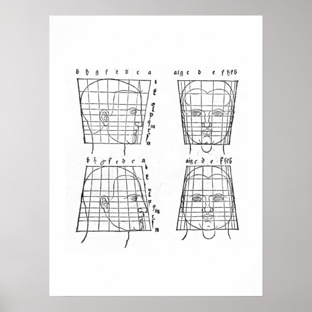 Albrecht Dürer's studie av mänskliga proportioner Poster (Framsidan)